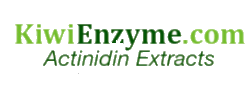 kiwi enzyme logo