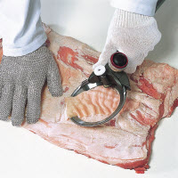 Diequinsa carne industria