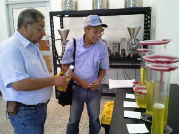 SAG DICTA Ajonjoli aceite extraccion