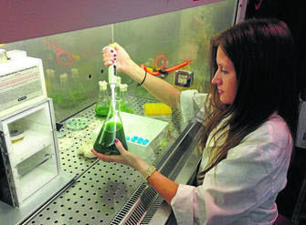 Universidad Huelva potenciar industria biomasa microalgas manipulacion