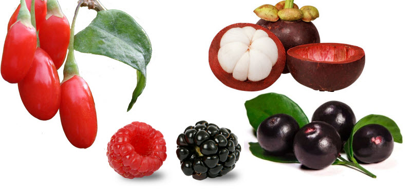 Antioxidantes potentes