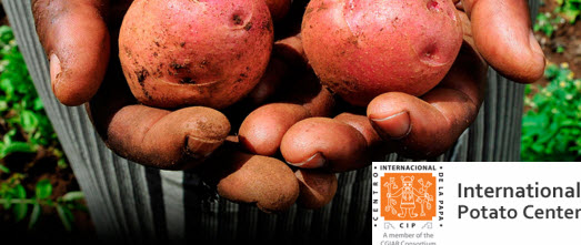 CIP Center Internationa Patato 